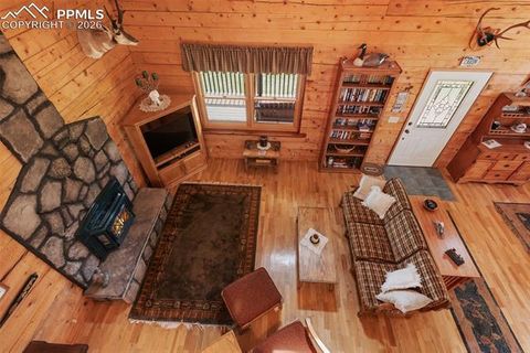 Tiny photo for 133 Vail Drive, Florissant, CO 80816 (MLS # 6515142)