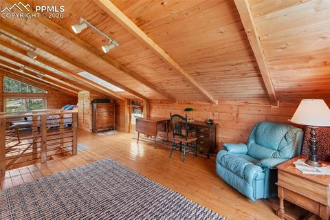 Tiny photo for 133 Vail Drive, Florissant, CO 80816 (MLS # 6515142)