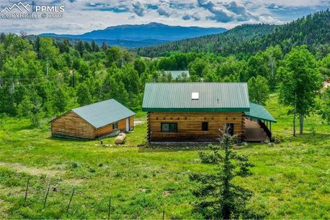 Tiny photo for 133 Vail Drive, Florissant, CO 80816 (MLS # 6515142)