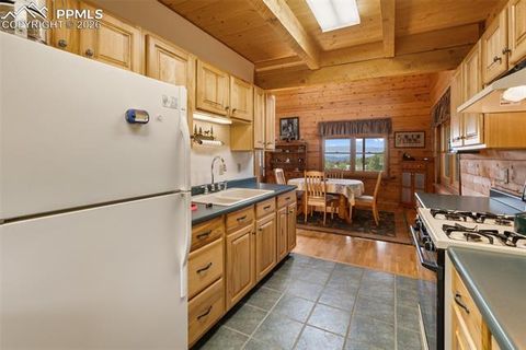 Tiny photo for 133 Vail Drive, Florissant, CO 80816 (MLS # 6515142)