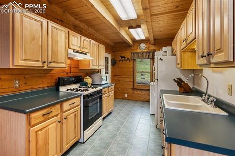 Tiny photo for 133 Vail Drive, Florissant, CO 80816 (MLS # 6515142)
