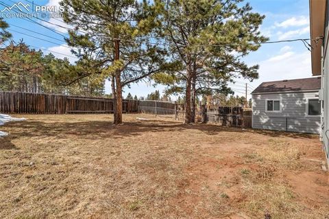 Tiny photo for 1050 Sundance Street, Woodland Park, CO 80863 (MLS # 6351554)