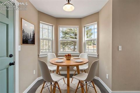 Tiny photo for 1050 Sundance Street, Woodland Park, CO 80863 (MLS # 6351554)