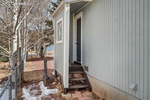 Tiny photo for 1050 Sundance Street, Woodland Park, CO 80863 (MLS # 6351554)