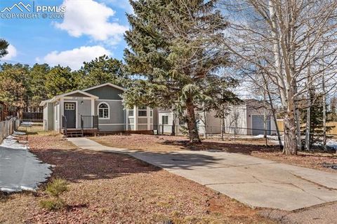 Tiny photo for 1050 Sundance Street, Woodland Park, CO 80863 (MLS # 6351554)