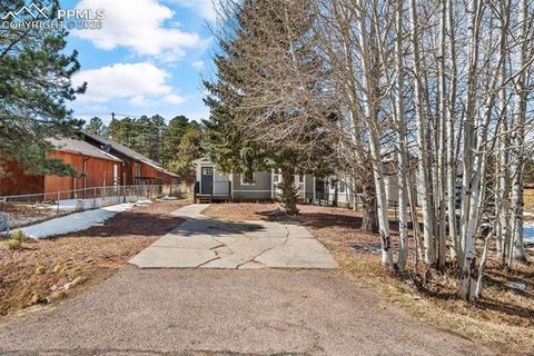 Tiny photo for 1050 Sundance Street, Woodland Park, CO 80863 (MLS # 6351554)