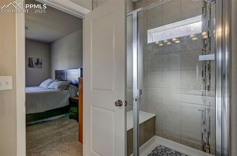 Tiny photo for 10031 Henman Terrace, Peyton, CO 80831 (MLS # 1193641)