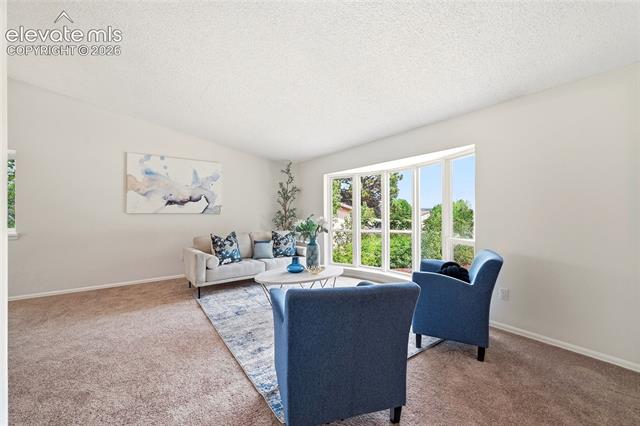 2733 Purgatory Drive - Photo 4
