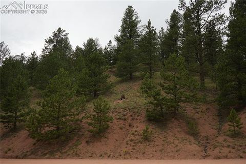 Photo of 557 Gold King Drive, Cripple Creek, CO 80813 (MLS # 4834264)