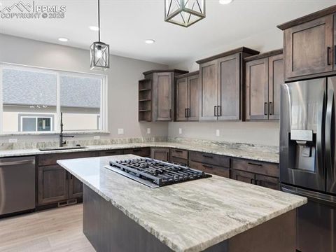 Tiny photo for 1305 Stone Ridge Drive, Woodland Park, CO 80863 (MLS # 6687797)