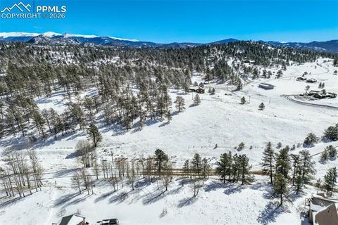 Photo of 244 High Pasture Road, Florissant, CO 80816 (MLS # 2675481)