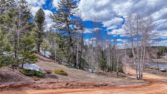 244 Spring Valley Lane