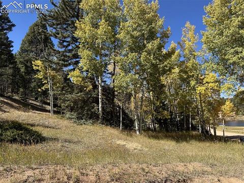 244 Spring Valley Lane Florissant CO 80816