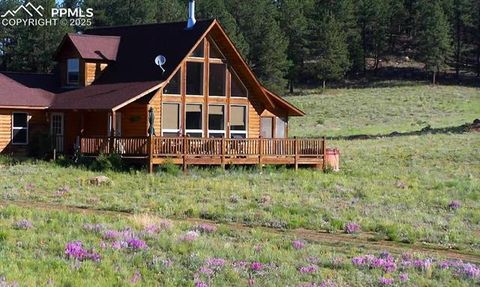 39858 Highway 24 Lake George CO 80827