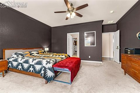 Tiny photo for 7115 Mountain Spruce Drive, Colorado Springs, CO 80927 (MLS # 4931572)