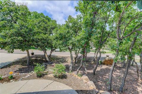 Tiny photo for 4935 Newstead Place, Colorado Springs, CO 80906 (MLS # 9833489)