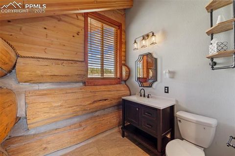 Tiny photo for 654 High Pasture Road, Florissant, CO 80816 (MLS # 9850705)