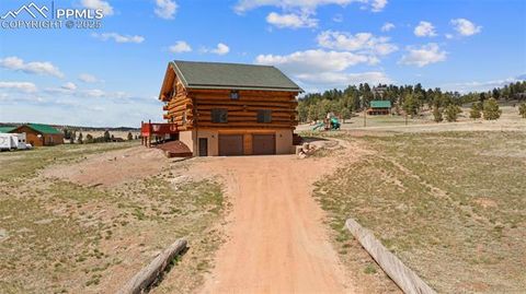 Tiny photo for 654 High Pasture Road, Florissant, CO 80816 (MLS # 9850705)