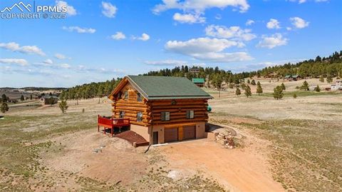 Photo of 654 High Pasture Road, Florissant, CO 80816 (MLS # 9850705)