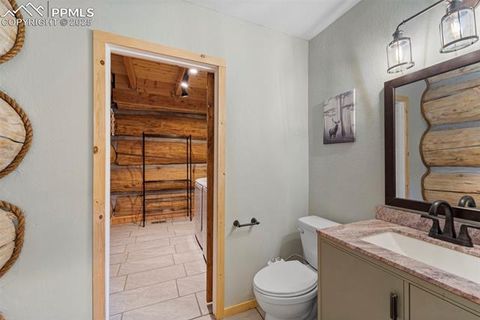 Tiny photo for 654 High Pasture Road, Florissant, CO 80816 (MLS # 9850705)