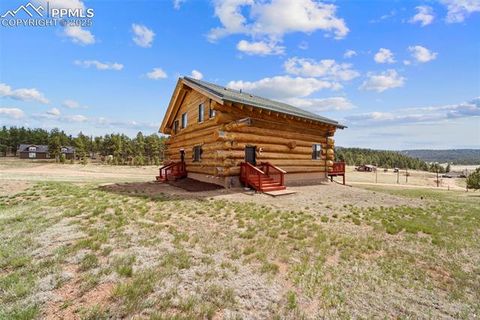 Tiny photo for 654 High Pasture Road, Florissant, CO 80816 (MLS # 9850705)