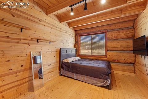 Tiny photo for 654 High Pasture Road, Florissant, CO 80816 (MLS # 9850705)