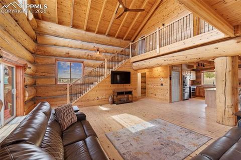 Tiny photo for 654 High Pasture Road, Florissant, CO 80816 (MLS # 9850705)