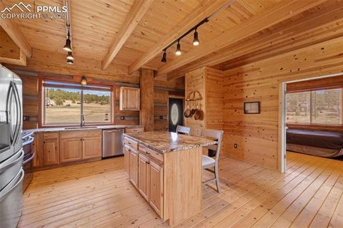 Tiny photo for 654 High Pasture Road, Florissant, CO 80816 (MLS # 9850705)