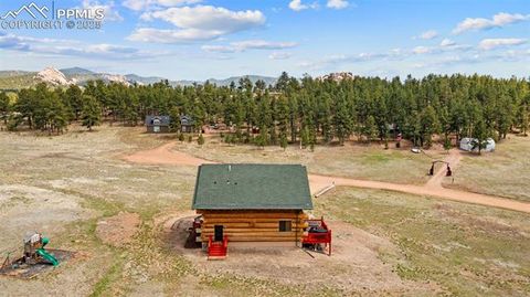 Tiny photo for 654 High Pasture Road, Florissant, CO 80816 (MLS # 9850705)