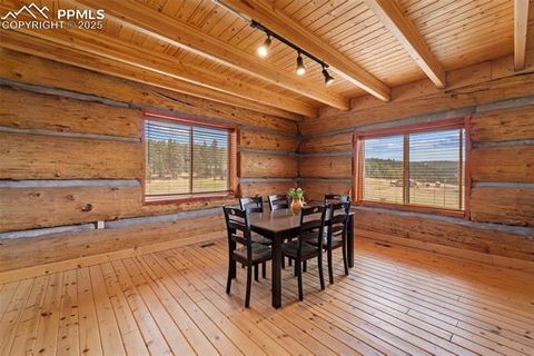 Tiny photo for 654 High Pasture Road, Florissant, CO 80816 (MLS # 9850705)