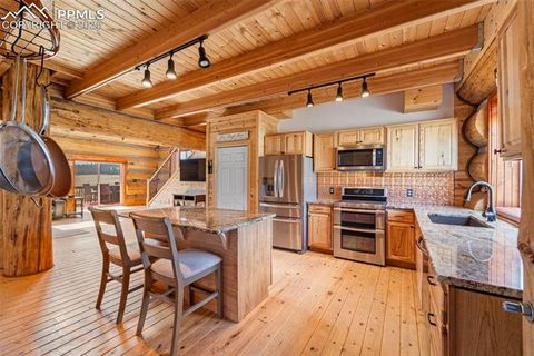 Tiny photo for 654 High Pasture Road, Florissant, CO 80816 (MLS # 9850705)