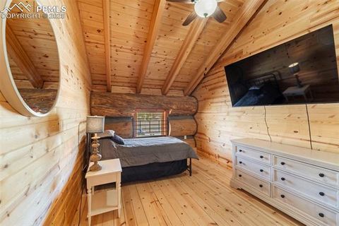 Tiny photo for 654 High Pasture Road, Florissant, CO 80816 (MLS # 9850705)