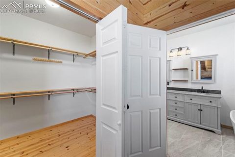 Tiny photo for 654 High Pasture Road, Florissant, CO 80816 (MLS # 9850705)