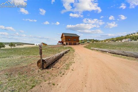 Tiny photo for 654 High Pasture Road, Florissant, CO 80816 (MLS # 9850705)