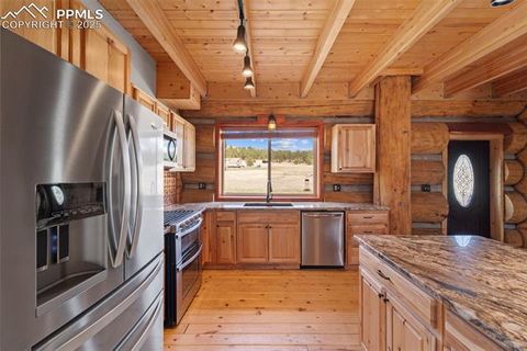 Tiny photo for 654 High Pasture Road, Florissant, CO 80816 (MLS # 9850705)