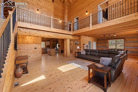 Tiny photo for 654 High Pasture Road, Florissant, CO 80816 (MLS # 9850705)