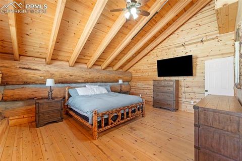 Tiny photo for 654 High Pasture Road, Florissant, CO 80816 (MLS # 9850705)