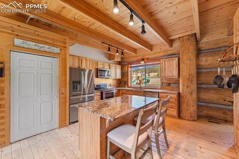 Tiny photo for 654 High Pasture Road, Florissant, CO 80816 (MLS # 9850705)