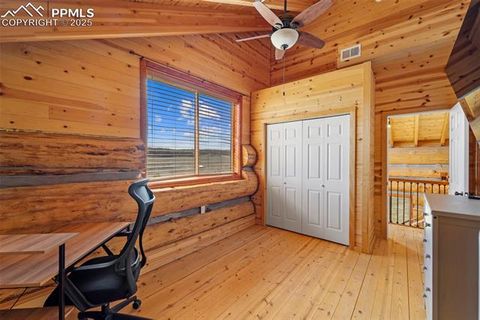 Tiny photo for 654 High Pasture Road, Florissant, CO 80816 (MLS # 9850705)