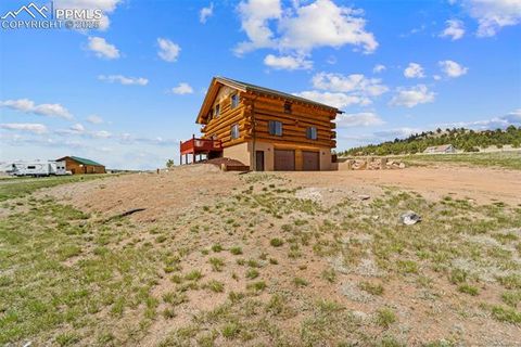Tiny photo for 654 High Pasture Road, Florissant, CO 80816 (MLS # 9850705)