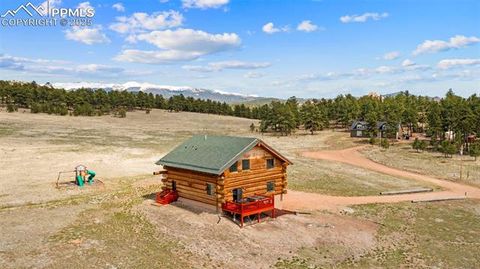 Tiny photo for 654 High Pasture Road, Florissant, CO 80816 (MLS # 9850705)