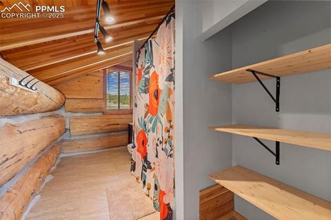 Tiny photo for 654 High Pasture Road, Florissant, CO 80816 (MLS # 9850705)