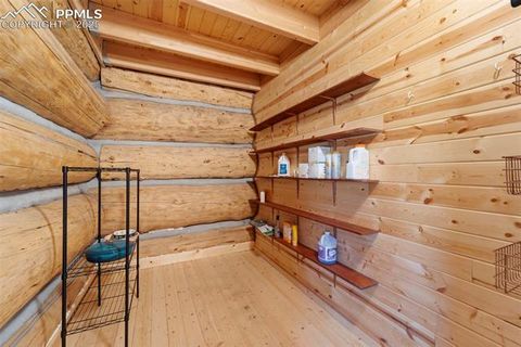 Tiny photo for 654 High Pasture Road, Florissant, CO 80816 (MLS # 9850705)