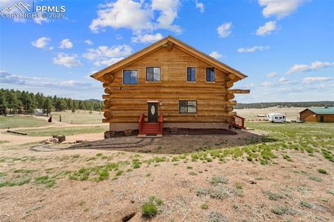 Tiny photo for 654 High Pasture Road, Florissant, CO 80816 (MLS # 9850705)