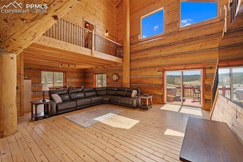 Tiny photo for 654 High Pasture Road, Florissant, CO 80816 (MLS # 9850705)