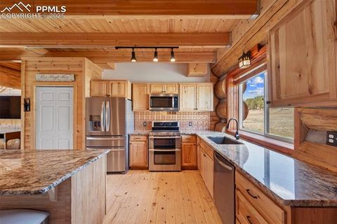 Tiny photo for 654 High Pasture Road, Florissant, CO 80816 (MLS # 9850705)