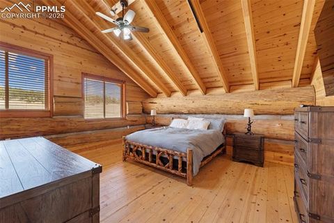 Tiny photo for 654 High Pasture Road, Florissant, CO 80816 (MLS # 9850705)