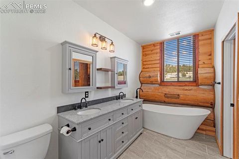 Tiny photo for 654 High Pasture Road, Florissant, CO 80816 (MLS # 9850705)