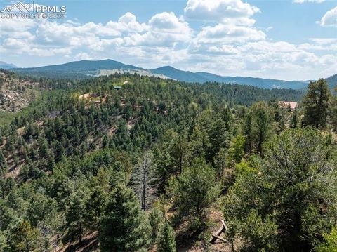 Photo of 1151 Dandy Jim Drive, Cripple Creek, CO 80813 (MLS # 9734029)