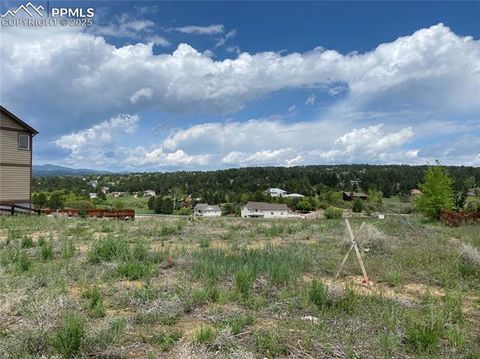 768 Gold Canyon Road Monument CO 80132